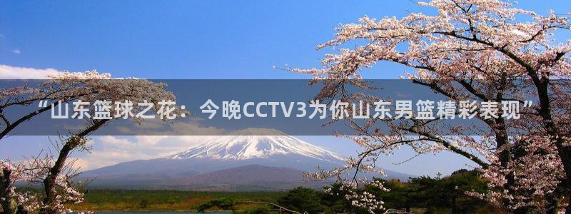 “山东篮球之花：今晚CCTV3为你山东男篮精彩表现”
