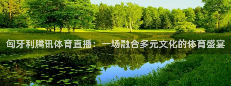 匈牙利腾讯体育直播：一场融合多元文化的体育盛宴