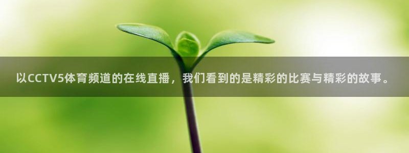 以CCTV5体育频道的在线直播，我们看到的是精彩的比赛与精彩的故事。