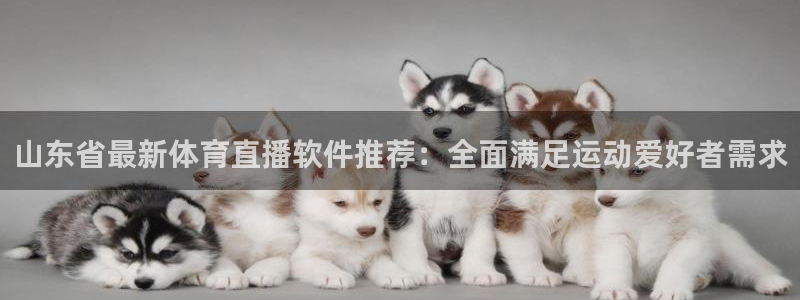 山东省最新体育直播软件推荐：全面满足运动爱好者需求