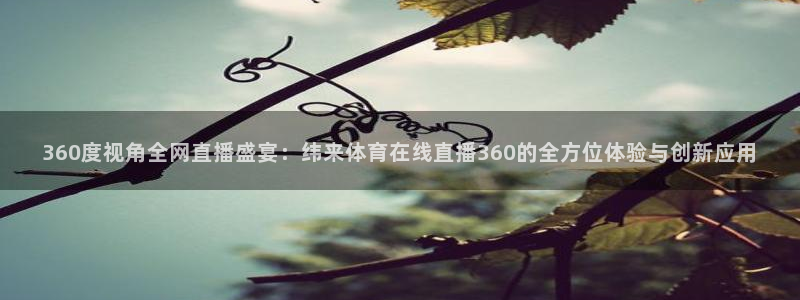 360度视角全网直播盛宴：纬来体育在线直播360的全方位体验与创新应用
